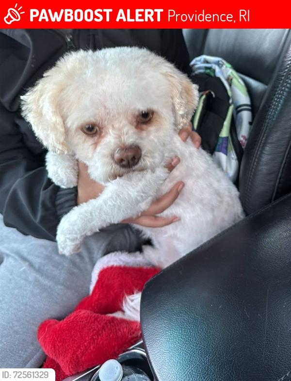 Lost Male Dog last seen pavilion ave , Providence, RI 02905