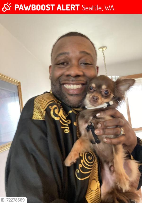 Lost Male Dog last seen Rainier Avenue  S Andover Seattle, WA 98118, Seattle, WA 98118