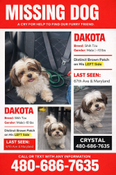 Lost Male Dog last seen 67th Ave and Maryland, Glendale, AZ 85301