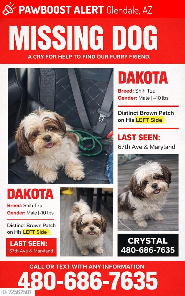 Lost Male Dog last seen 67th Ave and Maryland, Glendale, AZ 85301