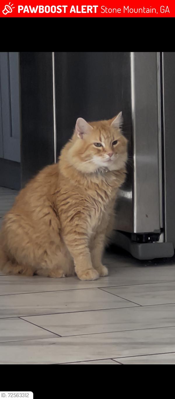 Lost Male Cat last seen Wynbrooke elementary school , Stone Mountain, GA 30087