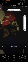 Lost Female Cat last seen Leipupu Pl, Waianae, HI 96792