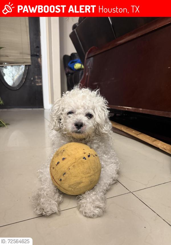 Lost Male Dog last seen Aldine mail route Rd,  John F Kennedy BLVD, Houston, TX 77039