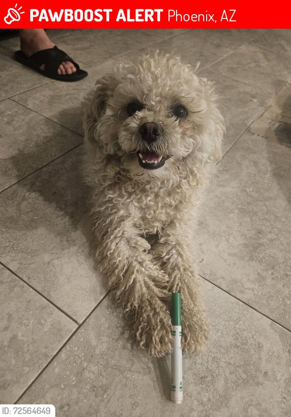 Lost Male Dog last seen Near ave y glenrosa, Phoenix, AZ 85037