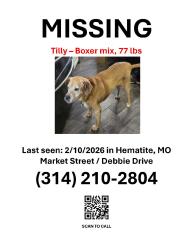 Lost Female Dog last seen Hillsboro Hematite Rd, Joachim Township, MO 63028