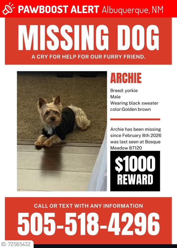 Albuquerque, NM Lost Male Dog, Archie Is Missing PawBoost