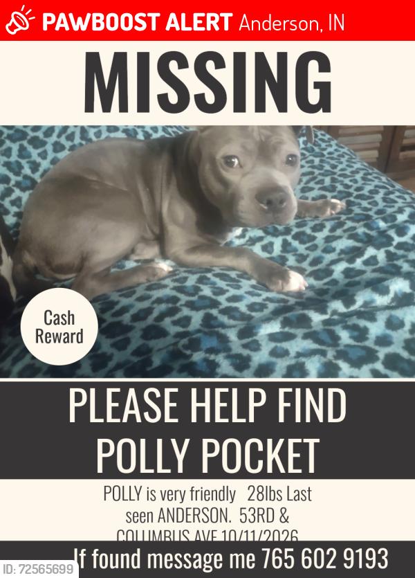 Lost Female Dog last seen 53rd & Saint charles st  anderson in 46013, Anderson, IN 46013