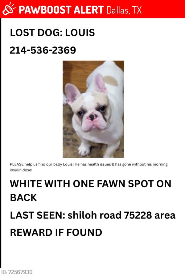 Lost Male Dog last seen gus thomasson , Dallas, TX 75228