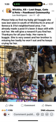 Lost Female Dog last seen 25th and oak street south of Wichita , Wichita, KS 67217