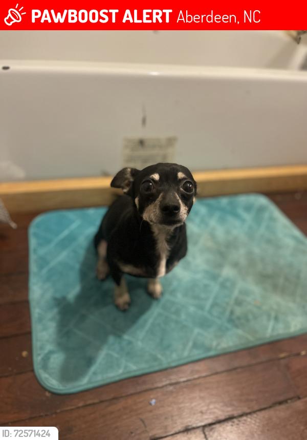 Lost Male Dog last seen Midway rd Aberdeen nc, Aberdeen, NC 28315