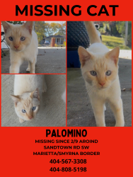 Lost Male Cat last seen long dr, Marietta, GA 30060