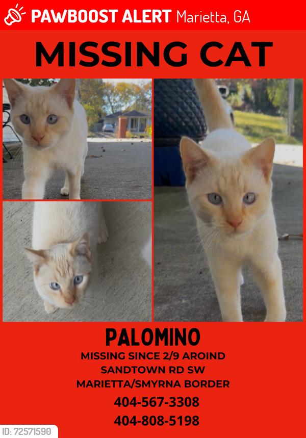 Lost Male Cat last seen long dr, Marietta, GA 30060