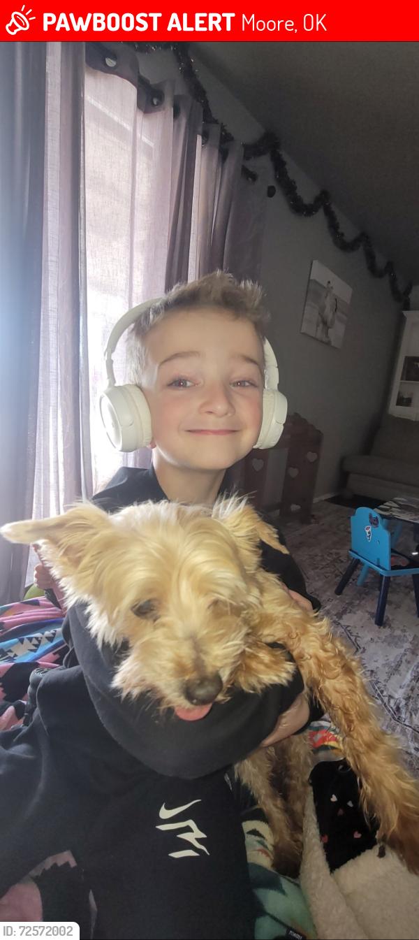 Lost Male Dog last seen 12th & Eastern, Moore, OK 73160