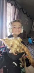 Lost Male Dog last seen 12th & Eastern, Moore, OK 73160