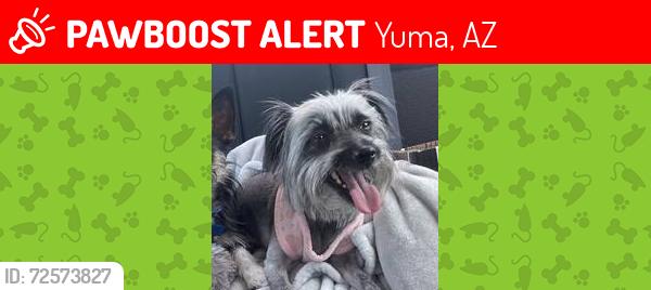 Lost Female Dog last seen Woodard Jr High School, Yuma, AZ 85364