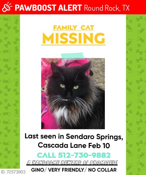 Lost Male Cat last seen Cascada Lane , Round Rock, TX 78681