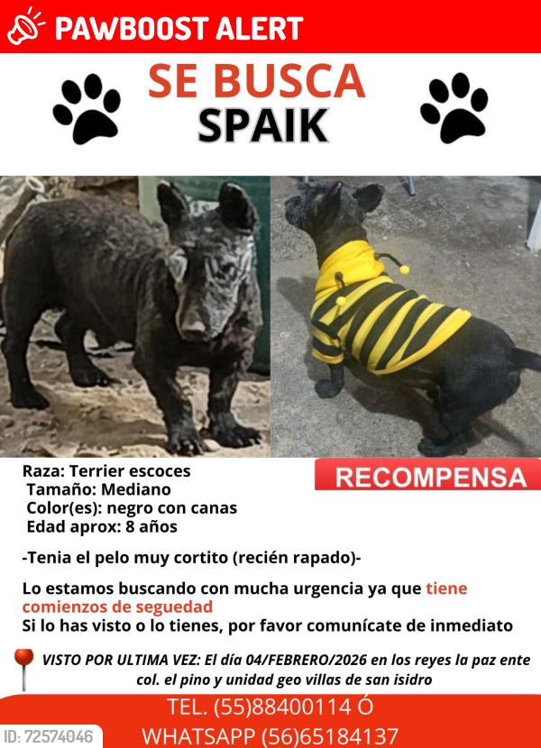 Lost Male Dog last seen Estado de México , Los Reyes Acaquilpan, Méx. 56509