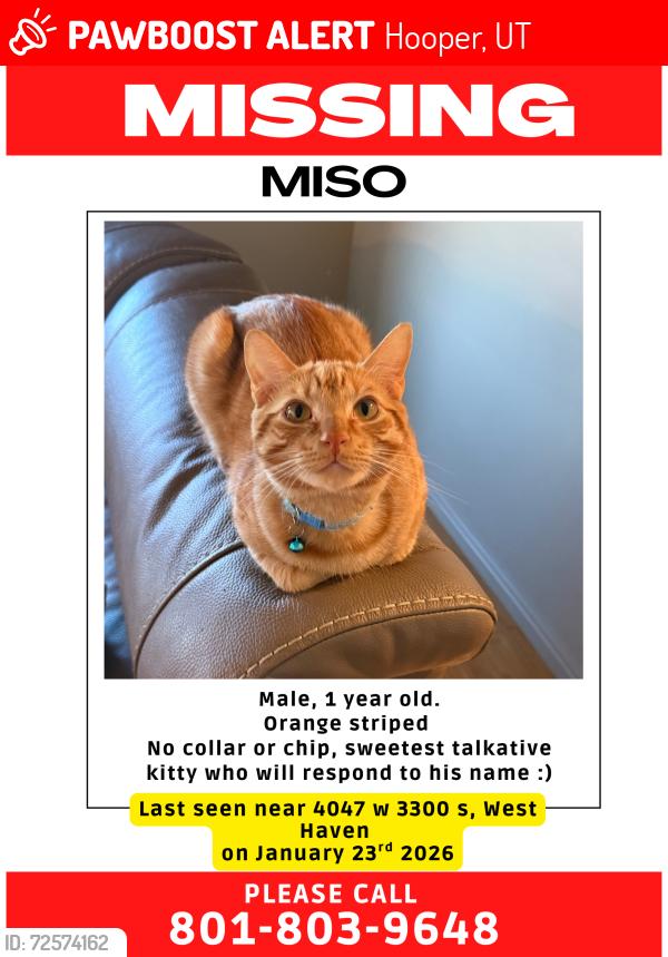 Lost Male Cat last seen Church on corner , Hooper, UT 84401
