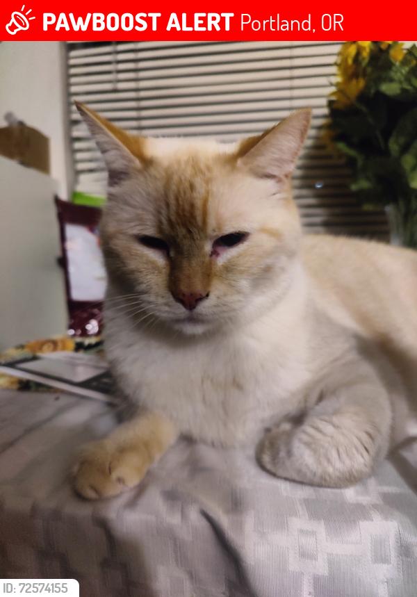 Lost Male Cat last seen  South side of Stark at 157th , Portland, OR 97233