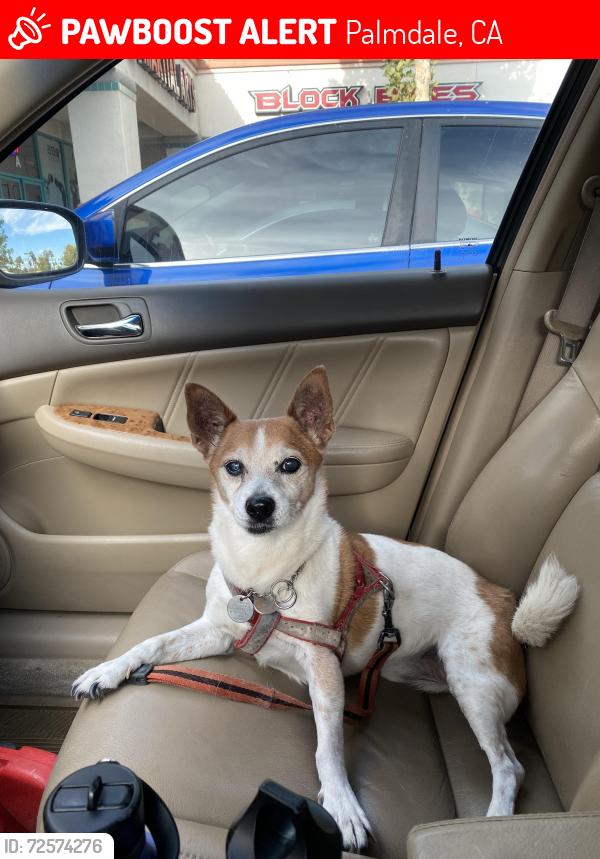 Lost Male Dog last seen Rancho Vista blvd , Palmdale, CA 93551