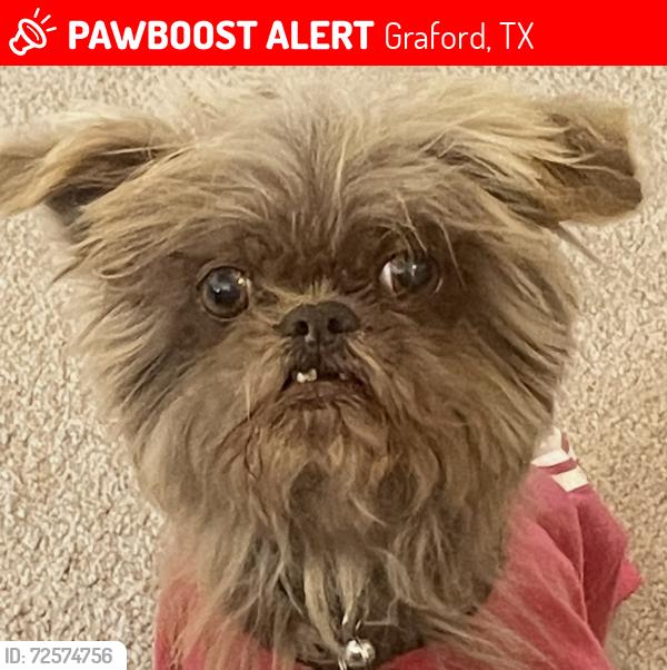 Lost Female Dog last seen possum kingdom fish hatchery , Graford, TX 76449
