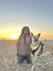 Lost Female Dog last seen Firestone Blvd in Downey California , Downey, CA 90241