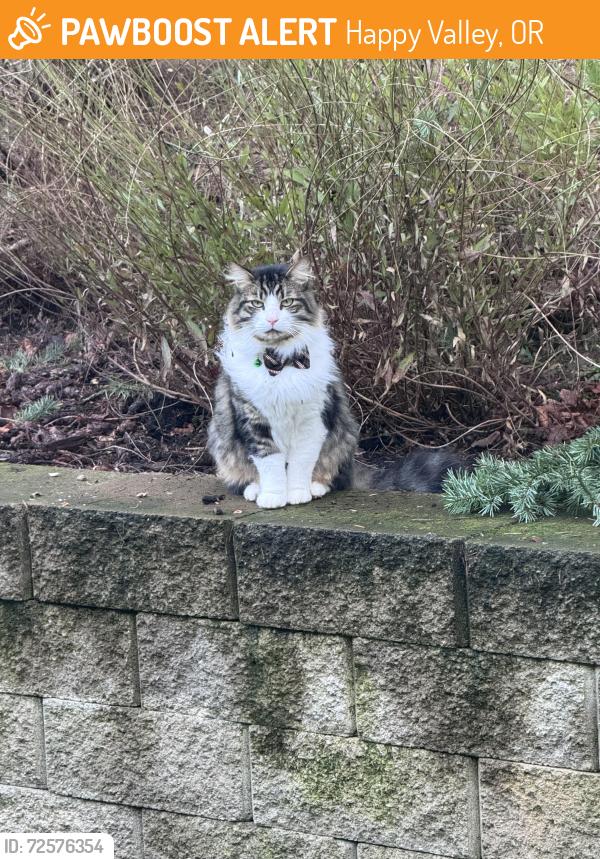 Found/Stray Unknown Cat last seen Idleman Rf, Happy Valley, OR 97086