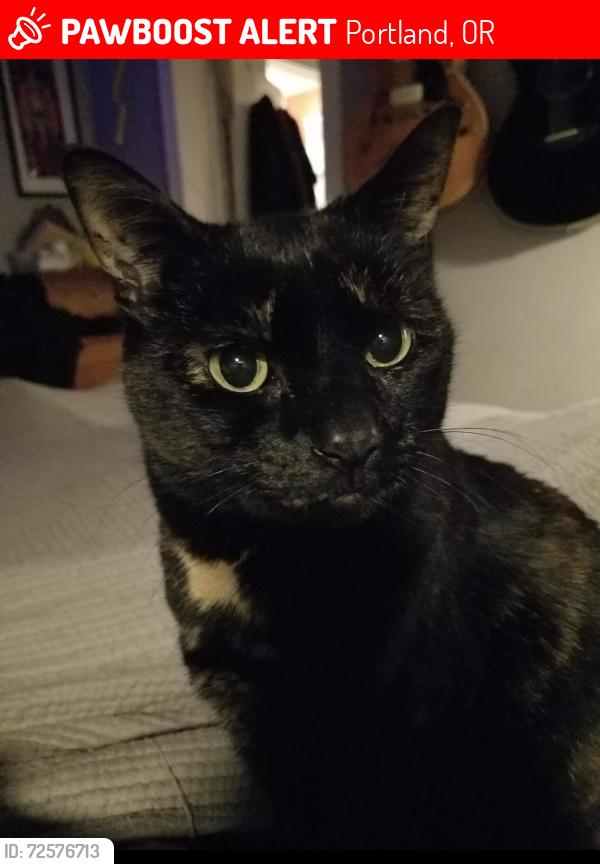 Lost Female Cat last seen Canyon Lane and 71st ave, Portland, OR 97225