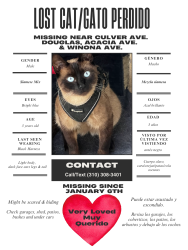 Lost Male Cat last seen Douglas,Acacia Ave and Winona Ave., Compton, CA 90222