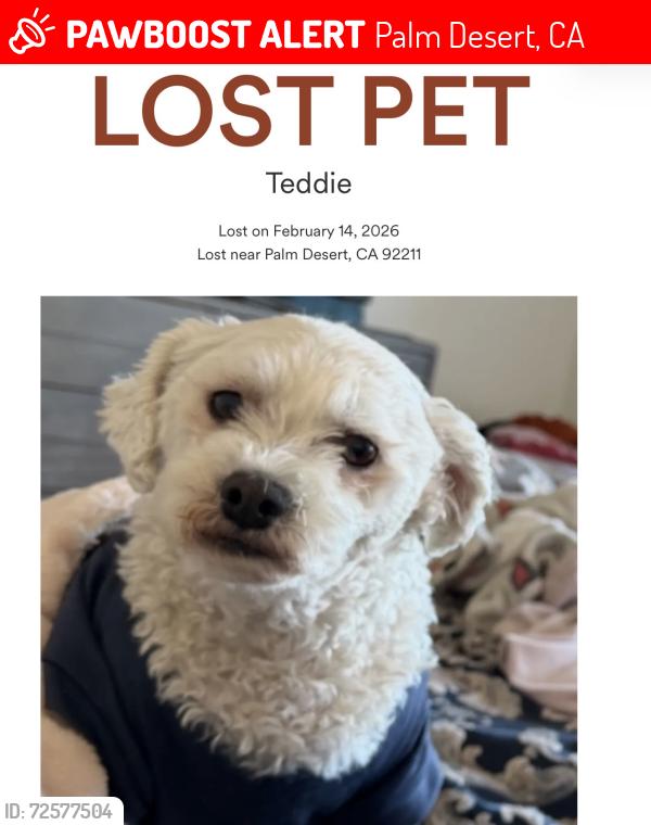 Lost Female Dog last seen Varner and Washington in Palm Desert, CA, Palm Desert, CA 92211