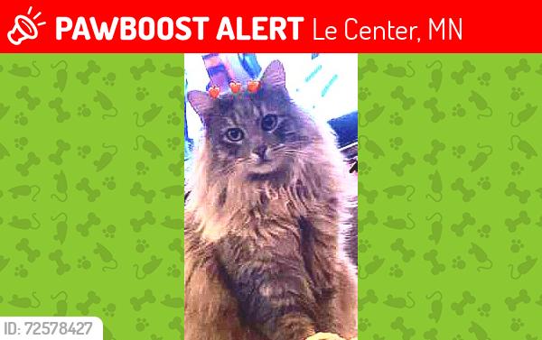 Lost Male Cat last seen Maple Ave, Minnesota St, Le Center, MN 56057
