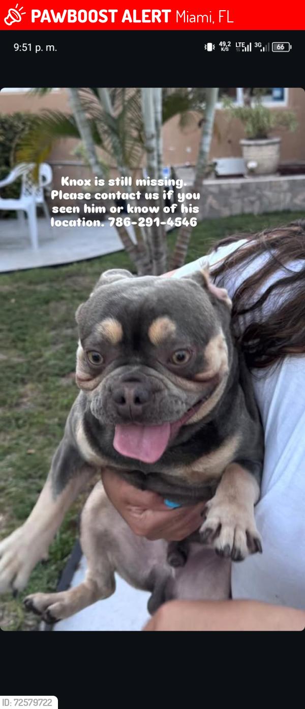 Lost Male Dog last seen Near 10 ave nw 41 st Miami , Miami, FL 33127