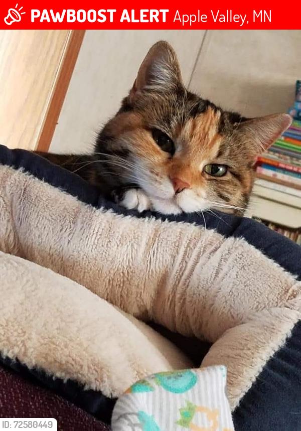 Lost Female Cat last seen Germane Ave, Lost from Cedar Knolls, Apple Valley, MN 55124