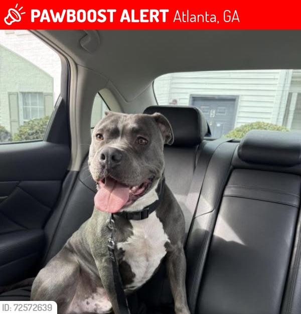 Lost Male Dog last seen welcome all road sw, Atlanta, GA 30349
