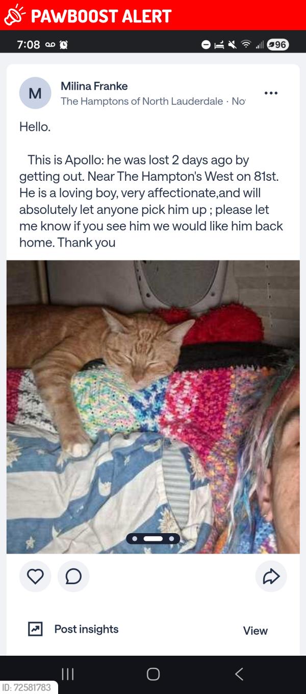 Lost Male Cat last seen 81st mcnab, North Lauderdale, FL 33068