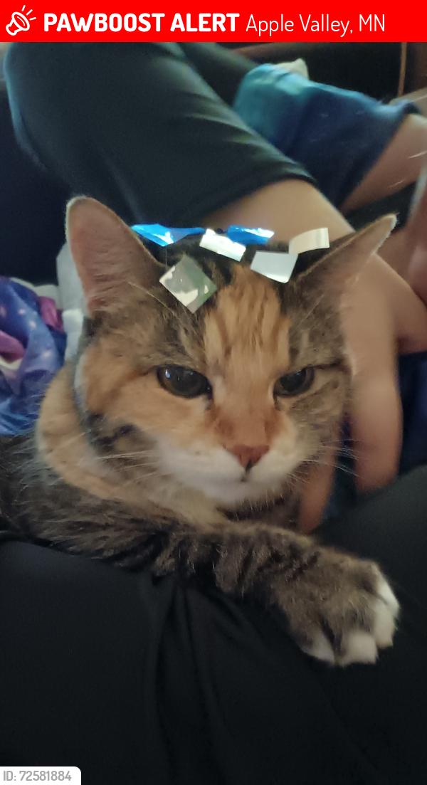 Lost Female Cat last seen Seen walking along Germaine , Apple Valley, MN 55124