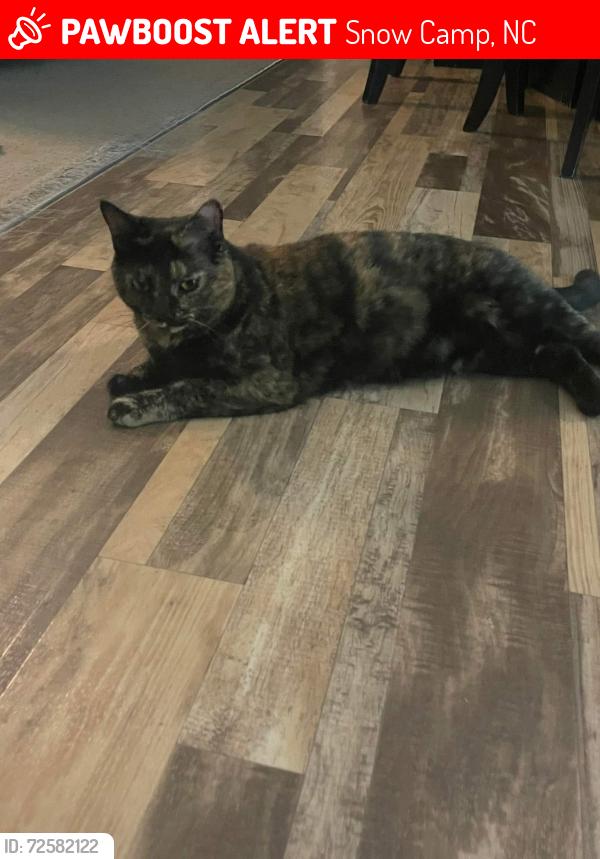Lost Female Cat last seen Siler Rd, Snow Camp, NC 27349