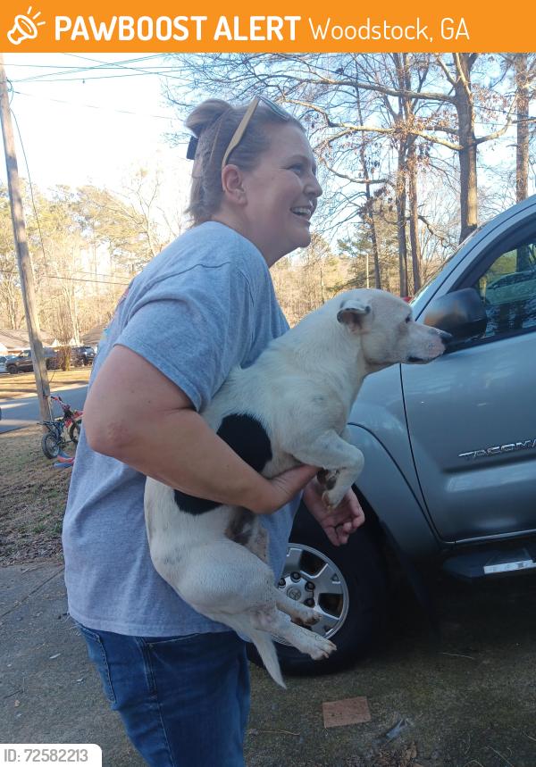 Found/Stray Male Dog last seen Riverchase Drive and West Wiley Bridge, Woodstock, GA 30188