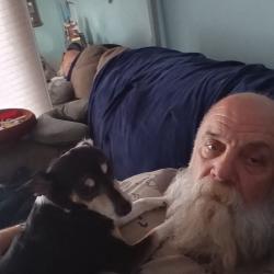 Lost Female Dog last seen College and Oswell , East Niles, CA 93306