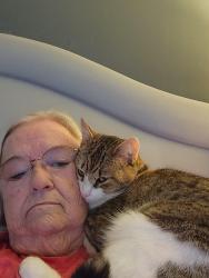 Lost Female Cat last seen Near Salem Road  Covington , Covington, GA 30016