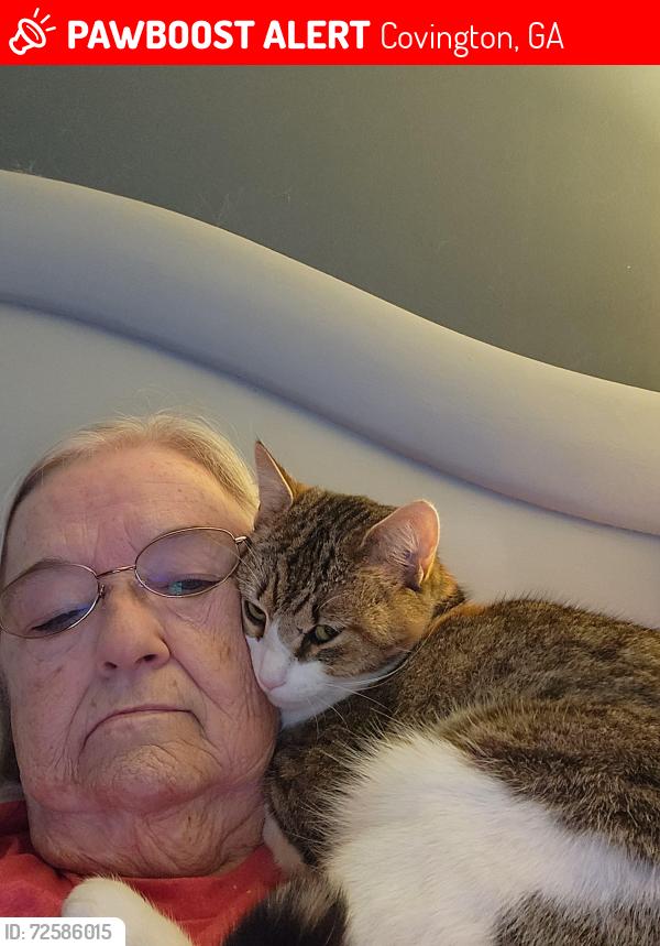 Lost Female Cat last seen Near Salem Road  Covington , Covington, GA 30016