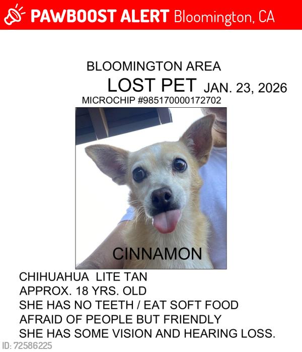 Lost Female Dog last seen WEST OF BLOOMINGTON HIGH SCHOOL, Bloomington, CA 92316