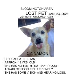 Lost Female Dog last seen WEST OF BLOOMINGTON HIGH SCHOOL, Bloomington, CA 92316