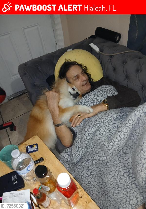 Lost Male Dog last seen Near w okeechobee rd lot 511, Hialeah, FL 33018