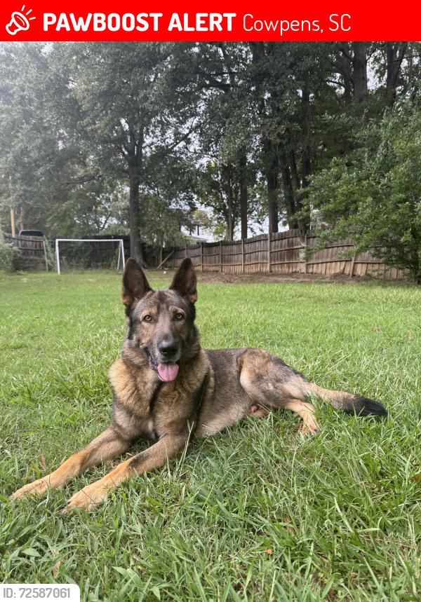 Lost Male Dog last seen COWPENS SC, Cowpens, SC 29330