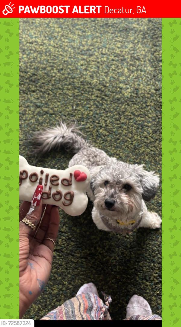 Lost Female Dog last seen Near Chelsea Park L... Peachtree Corners, GA 300..., Decatur, GA 30030