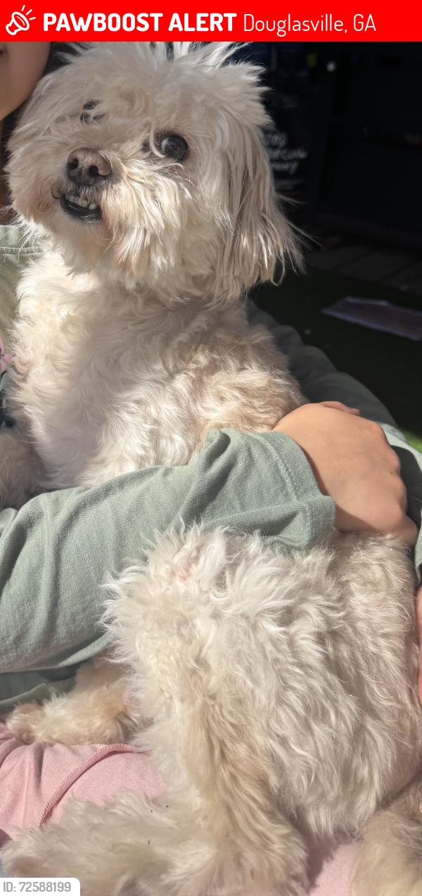 Lost Male Dog last seen Target & LA Fitness, Douglasville, GA 30135
