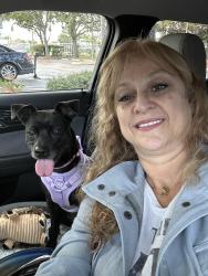 Lost Female Dog last seen Dillon & Indian Canyon, Desert Hot Springs, CA 92240