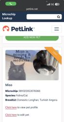 Lost Male Cat last seen Raintree Forrest Condos, Plantation, FL 33324