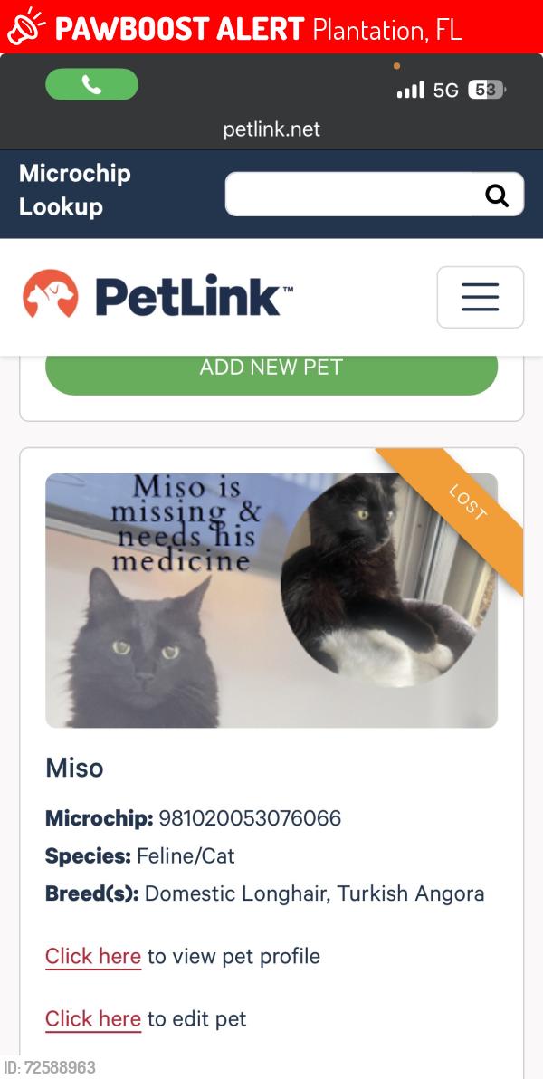 Lost Male Cat last seen Raintree Forrest Condos, Plantation, FL 33324